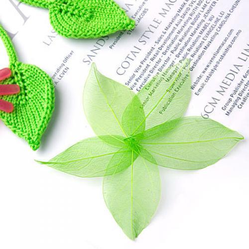 Natural Catbrier Skeleton Leav – обзор и цена Embellish Craft